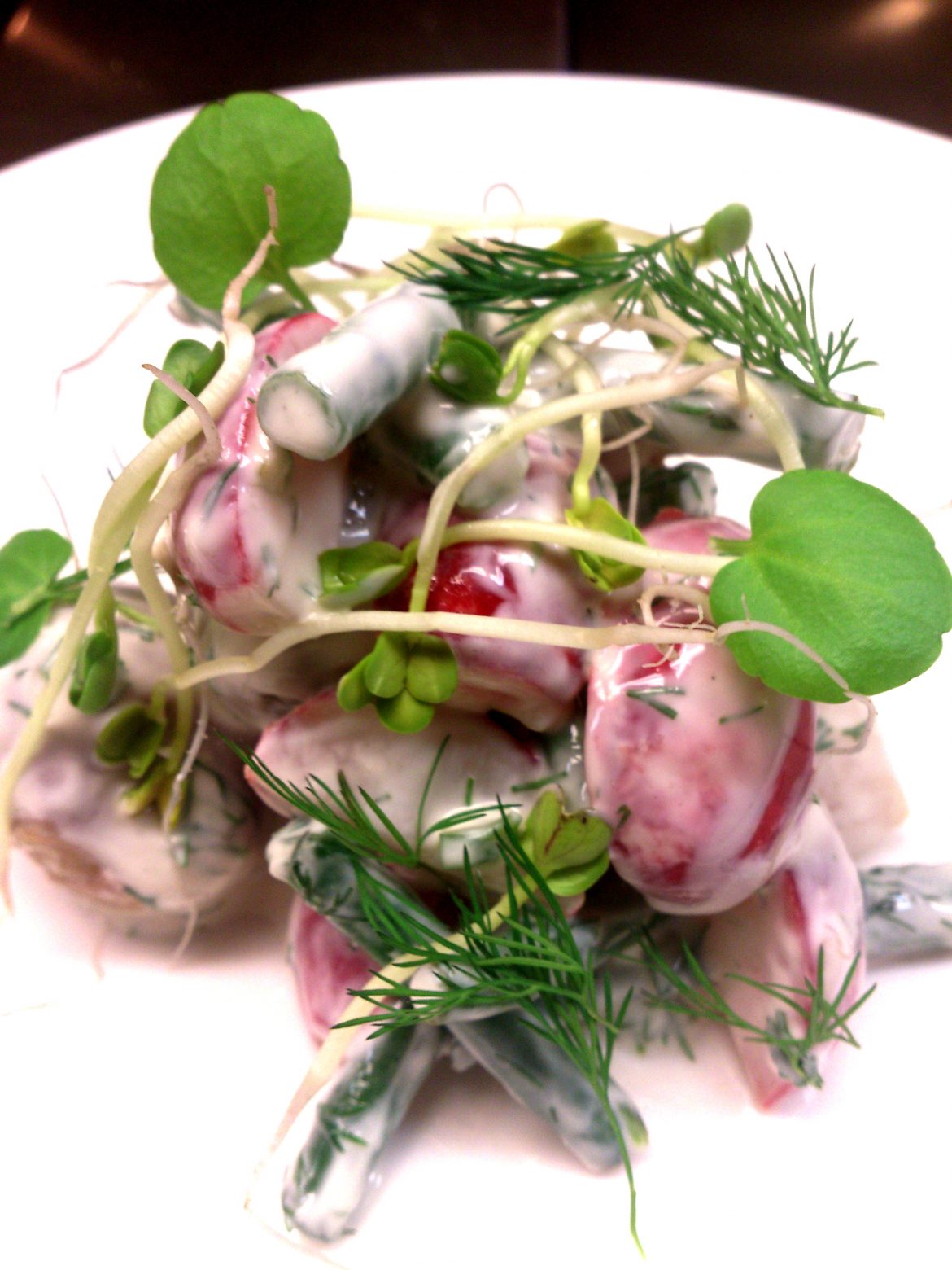 Kartöflusalat með radísum, strengjabaunum, dilli og radísuspírum