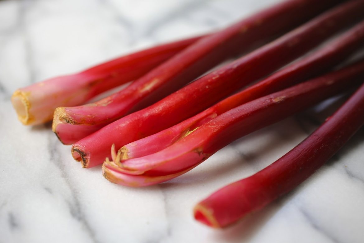 Rabbabarasýróp  Ágústu