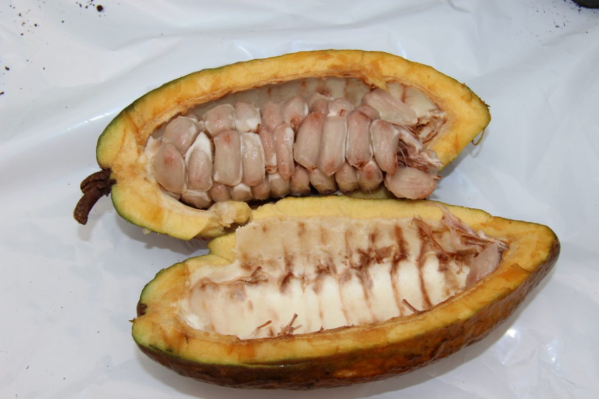 Súkkulaði í gleði og sorg