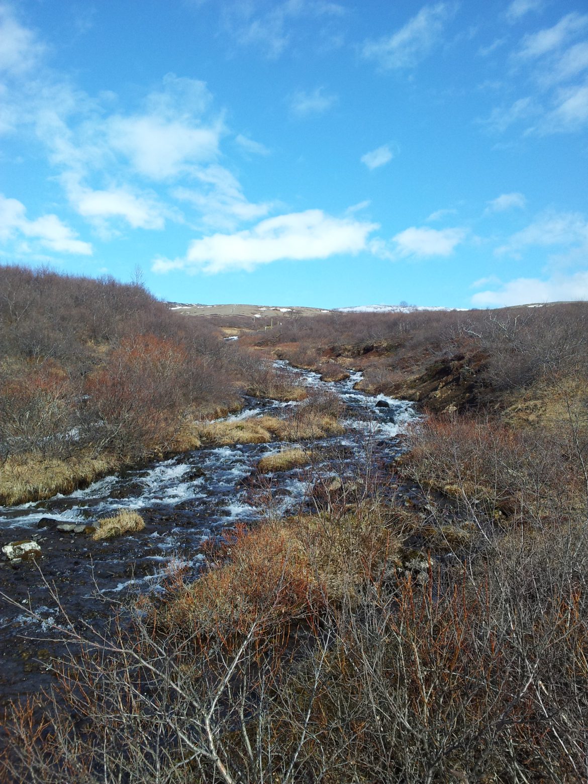 Dagur íslenskrar náttúru