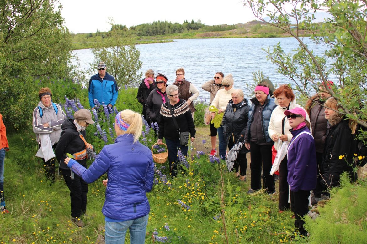 Grasaferð NLFÍ – myndasafn