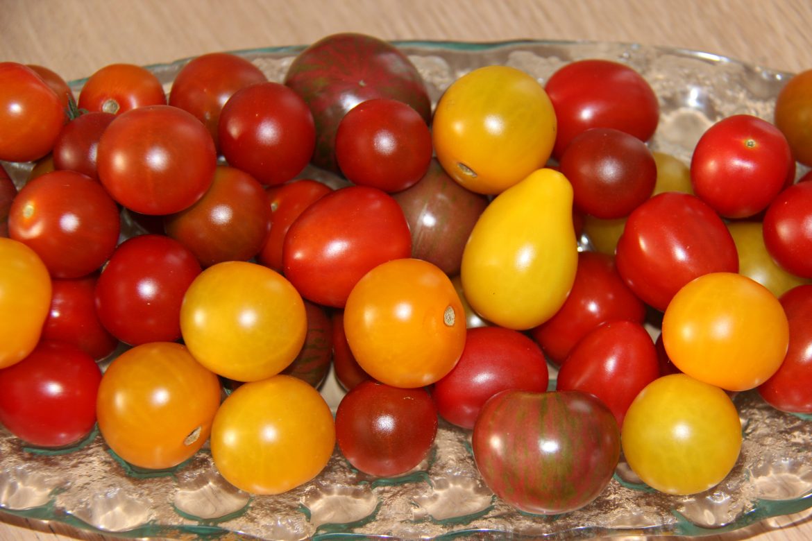 Bland í poka – Pistill frá Gurrý