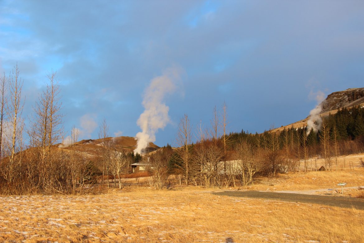 Janúargleði – Pistill frá Gurrý