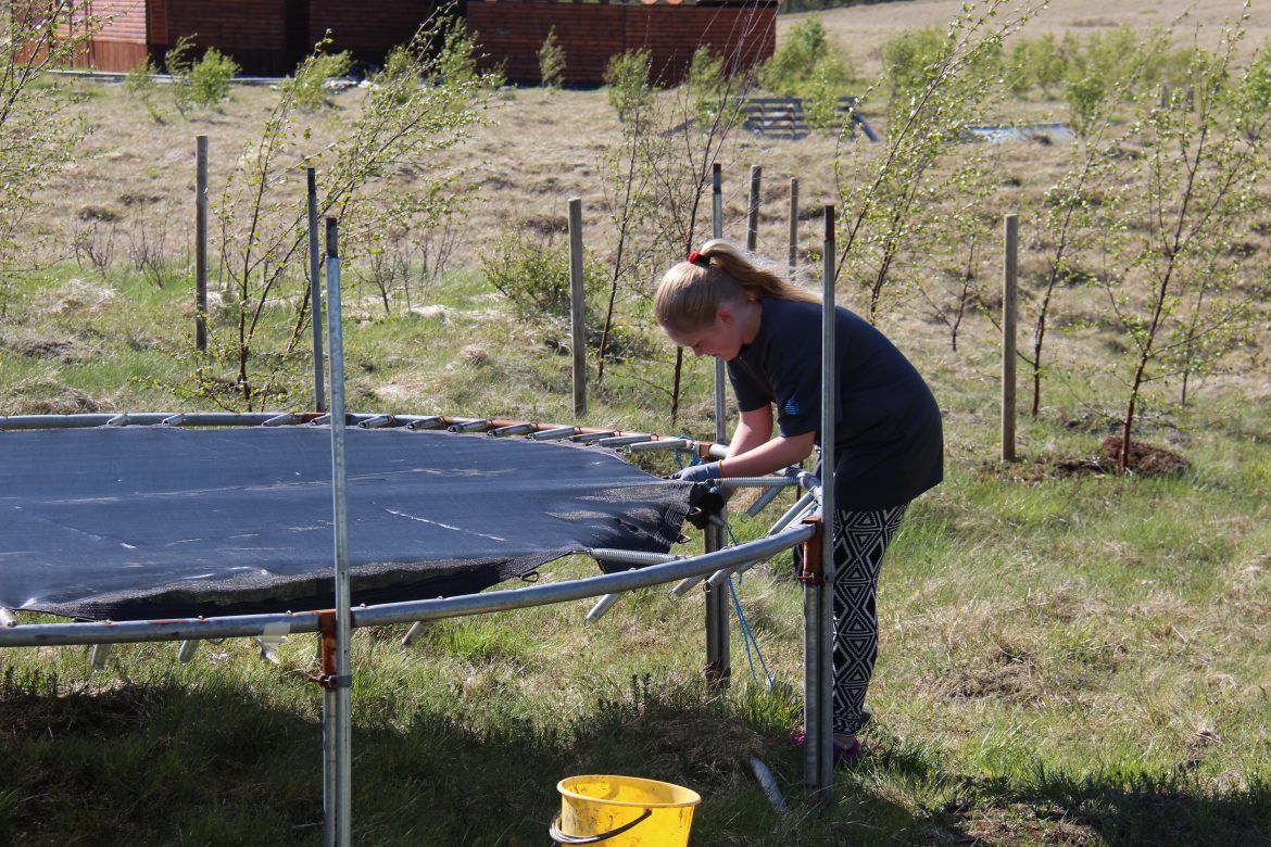 Hoppulín – Pistill frá Gurrý