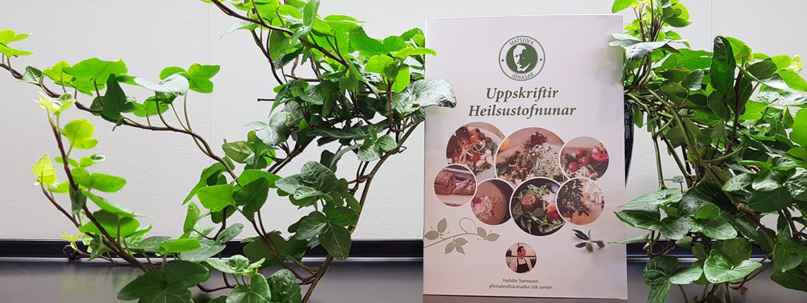 Ný matreiðslubók í netsölu