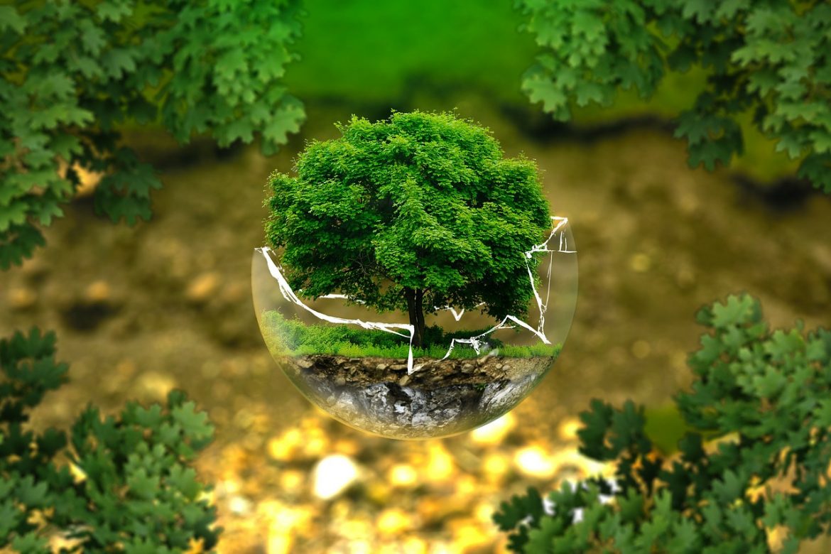 environmental-protection-326923_1280 Flexitarian mataræði – Bjargðu heilsu þinni og móður jarðar