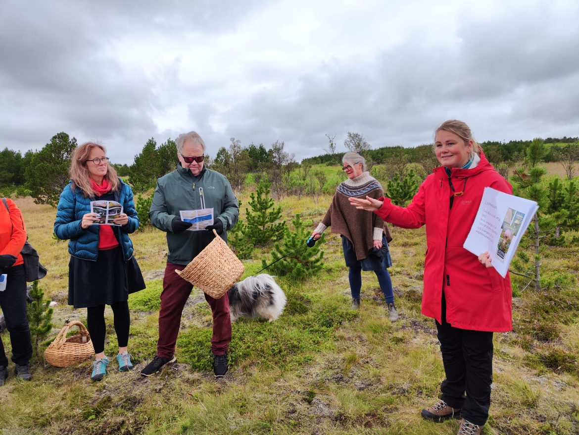 Fróðleg sveppaferð á Hólmsheiði