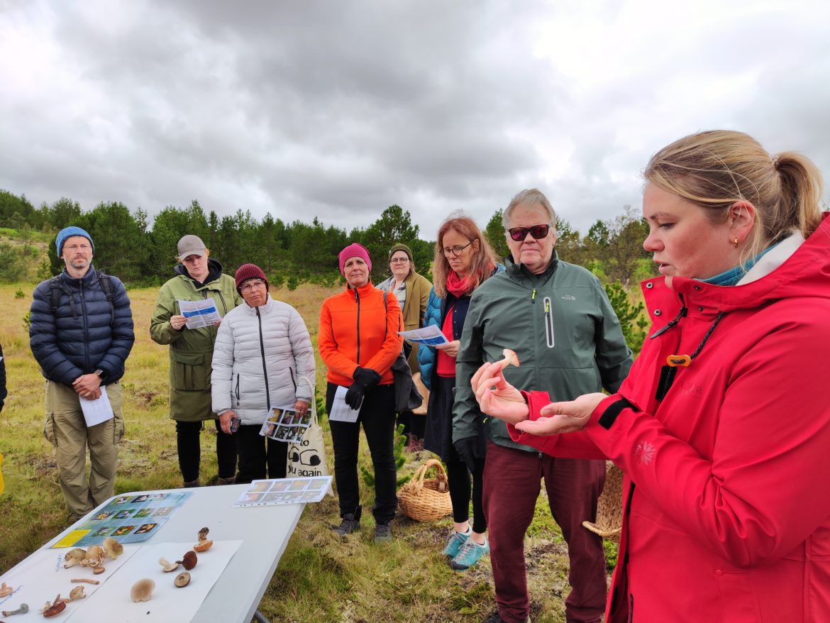 Svepparíkið í Sjónvarpinu