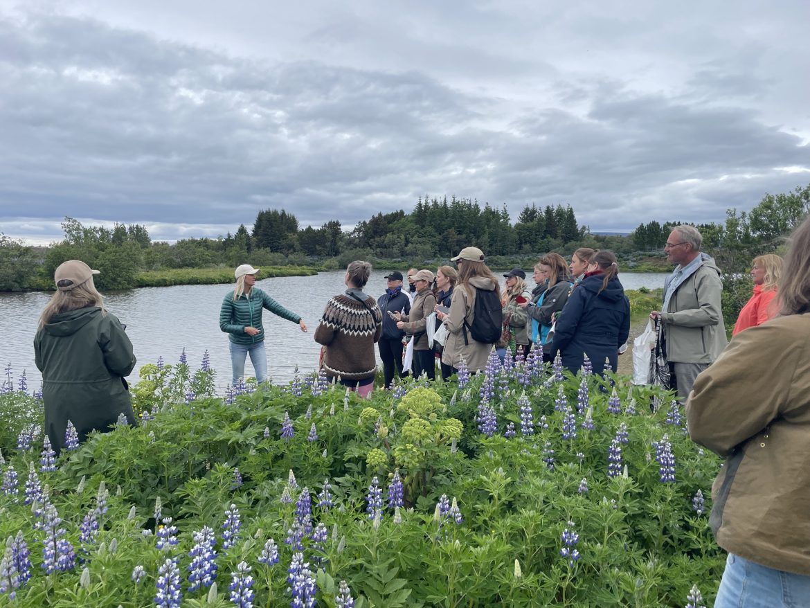 Grasaferð í Heiðmörk – Myndir